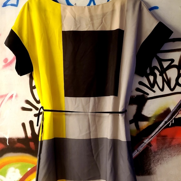 Reed Colorblocked Shift Dress - Picture 2 of 5